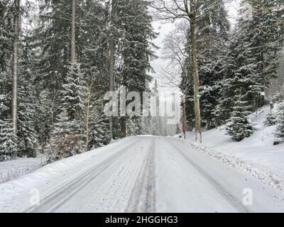 road in winter forest with snow Stock Photo