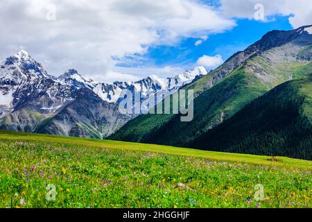 White glaciers and green grasslands in the Tianshan Mountains,Xinjiang,China. Stock Photo