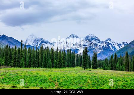 White glaciers and green grasslands in the Tianshan Mountains,Xinjiang,China. Stock Photo