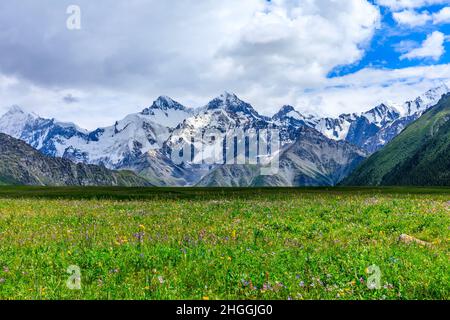 White glaciers and green grasslands in the Tianshan Mountains,Xinjiang,China. Stock Photo