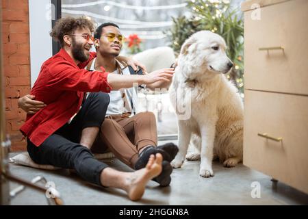 Two guys care dog while sitting on the floor at home Stock Photo