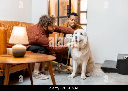 Gay couple having fun with a dog at home Stock Photo