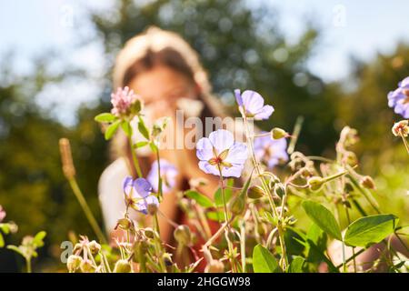 Blooming flowers in spring and child with hay fever blowing nose in background Stock Photo