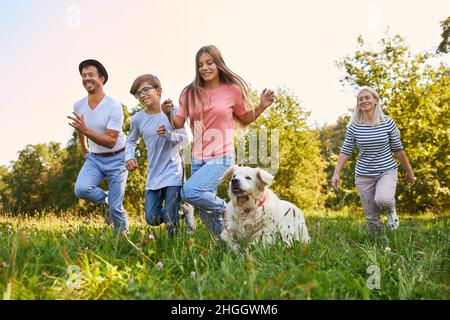 Family and two children with a dog have fun running across a green summer meadow Stock Photo