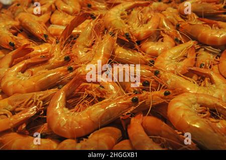 fresh king prawns on the fish market, Australia Stock Photo