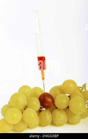 Syringe stuck in red grape among green grapes, gene grapes, symbol image, genetically modified food Stock Photo