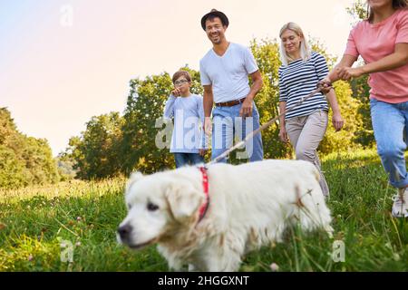 Family and two children walking their retriever dog on a meadow in summer Stock Photo