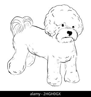 Hand drawn dog breed vector sketch. Stock Vector