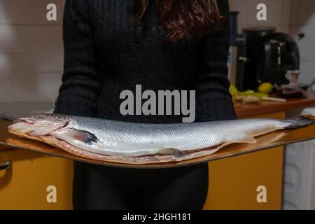 woman holds big salmon fish before cooking it Stock Photo