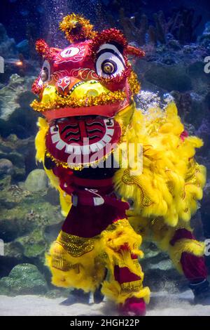 Kuala Lumpur, Malaysia. 21st Jan, 2022. Divers dressed as a lion stage an underwater performance in celebration of the Chinese Lunar New Year during a media preview at the Aquaria KLCC aquarium in Kuala Lumpur, Malaysia, Jan. 21, 2022. Credit: Zhu Wei/Xinhua/Alamy Live News Stock Photo
