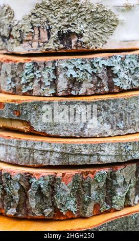 Wooden round slices close up Stock Photo
