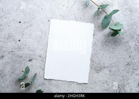 Blank paper card wedding invitation mockup with eucalyptus branches on concrete table. Stock Photo