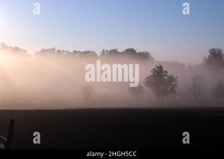 Fog over the lake at sunrise. Glimmers of sunlight on the reeds Stock Photo