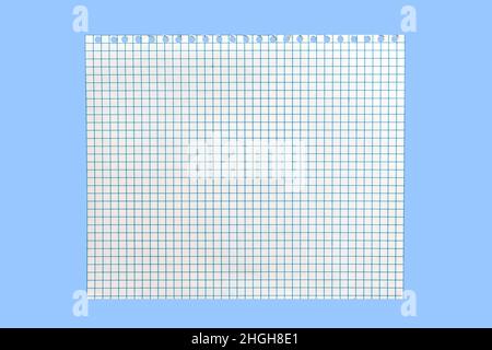 A simple blank sheet of paper torn from a school notebook on a blue background Stock Photo
