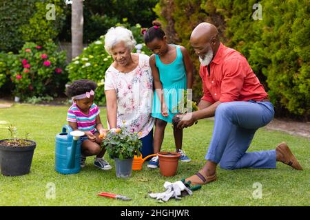 African american grandparents teaching gardening to grandchildren at backyard Stock Photo