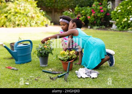 Two african american sisters planting together at backyard garden Stock Photo