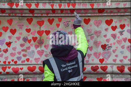 London, UK. 21st Jan, 2022. Volunteers, many of whom have lost family members to coronavirus, continue to paint new hearts and repaint some which have faded over time on the National Covid Memorial Wall. Over 150,000 red hearts have been painted to date on the wall outside St Thomas' Hospital opposite the Houses of Parliament, one for each life lost to COVID-19, and new ones are added daily. Credit: Vuk Valcic/Alamy Live News Stock Photo