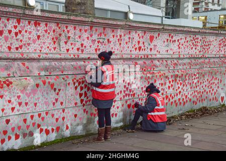 London, UK. 21st Jan, 2022. Volunteers, many of whom have lost family members to coronavirus, continue to paint new hearts and repaint some which have faded over time on the National Covid Memorial Wall. Over 150,000 red hearts have been painted to date on the wall outside St Thomas' Hospital opposite the Houses of Parliament, one for each life lost to COVID-19, and new ones are added daily. Credit: Vuk Valcic/Alamy Live News Stock Photo