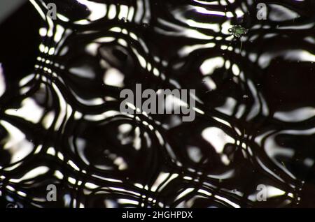 Ripples and reflections forming an abstract black and white pattern on the surface of water Stock Photo