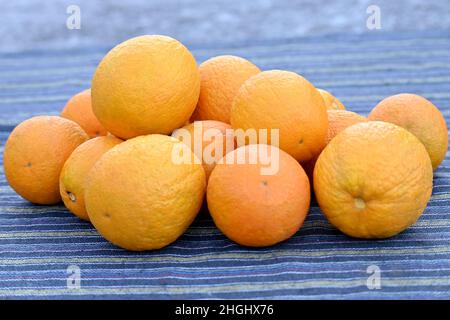 closeup the bunch ripe orange grapefruit over out of focus grey brown background. Stock Photo
