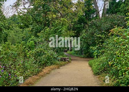 Canal path with a green tree canopy, along the Delaware River Canal towpath,New Hope,PA, Lambertville,NJ,USA. Stock Photo