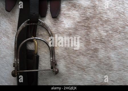 Close up detail of safety stirrup for side saddle riding Stock Photo