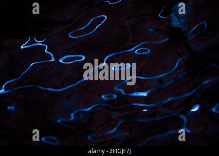 Waves of blue light reflections on dark background. Abstract curves lines of fluorescent light on ice surface. Dark background with organic, liquid li Stock Photo