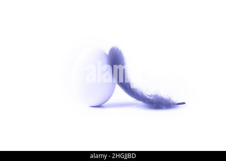 Abstract fluffy feathers and cracked egg shell background toned in trendy color of year 2022. Beautiful backdrop for your design. Flat lay style. Copy space. Stock Photo