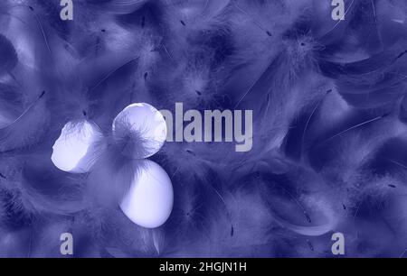 Abstract fluffy feathers and cracked egg shell background toned in trendy color of year 2022. Beautiful backdrop for your design. Flat lay style. Copy space. Stock Photo