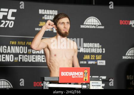 Anaheim, California, ANAHEIM, CA, USA. 21st Jan, 2022. ANAHEIM, CA - January 21: Said Nurmagomedov steps on the scale at Hilton Convention Center for UFC270 - Ngannou vs Gane - Official Weigh-in on January 21, 2022 in Anaheim, California, United States. (Credit Image: © Louis Grasse/PX Imagens via ZUMA Press Wire) Credit: ZUMA Press, Inc./Alamy Live News Stock Photo