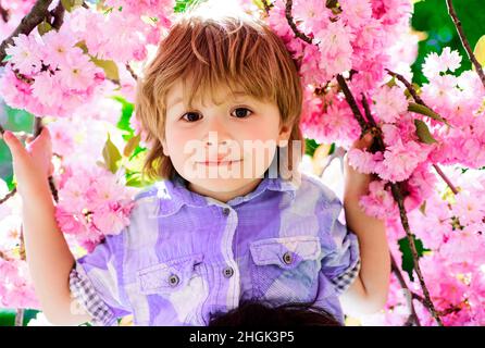 Happy child in sakura park. Little kid smiling among blooming cherry tree with pink flowers. Spring. Stock Photo