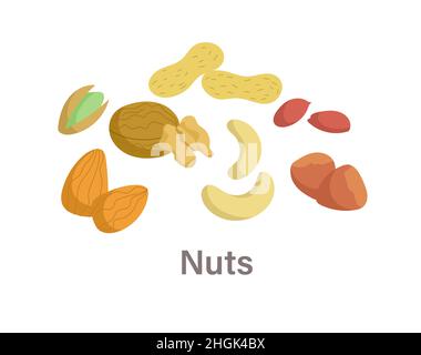 Thyroid nutrition infographic element Stock Vector