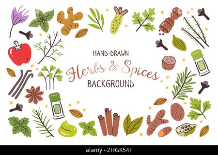 Herbs and spices background. Food ingredients for cooking illustration. Isolated colorful hand-drawn icons on white background. Vector illustration. Stock Vector