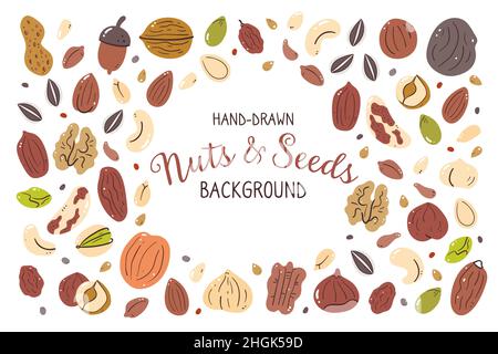 Nuts and seeds background. Food ingredients for cooking illustration. Isolated colorful hand-drawn icons on white background. Vector illustration. Stock Vector