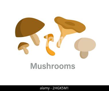 Thyroid nutrition infographic element Stock Vector