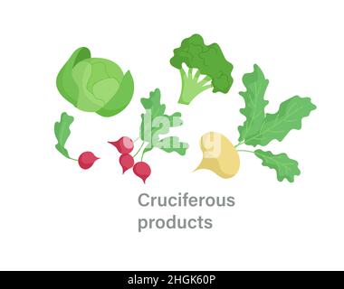 Thyroid nutrition infographic element Stock Vector