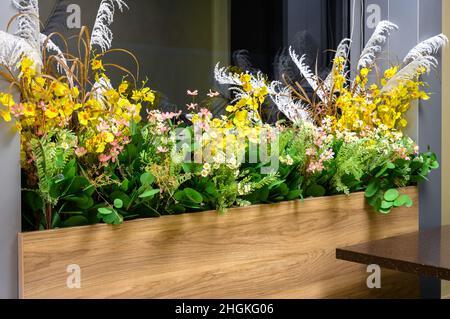 Flower pot at window inside building, eco interior design with green plants. Long narrow flowerpot with wooden panel. Concept of modern interior lands Stock Photo