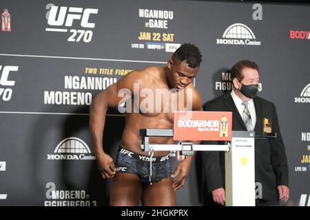 Anaheim, USA. 21st Jan, 2022. ANAHEIM, CA - January 21: Francis Ngannou steps on the scale at Hilton Convention Center for UFC270 - Ngannou vs Gane - Official Weigh-in on January 21, 2022 in Anaheim, California, United States. (Photo by Louis Grasse/PxImages) Credit: Px Images/Alamy Live News Stock Photo