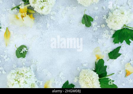 Frame of white hydrangea and yellow iris on gray background. Flat lay, Top view Stock Photo