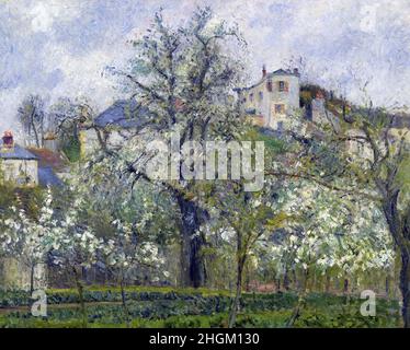 絵画 Camille Pissarro Printemps, Pruniers en Printemps. Pruniers en fleurs, dit : Potager, arbres en