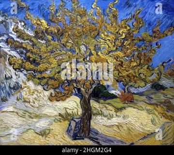 The Mulberry Tree - 1889 - Oil on canvas 54 x 65 cm - Van Gogh Vincent Stock Photo