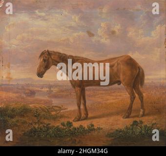 Charles Towne - Old Billy, a Draught Horse, Aged 62 Stock Photo