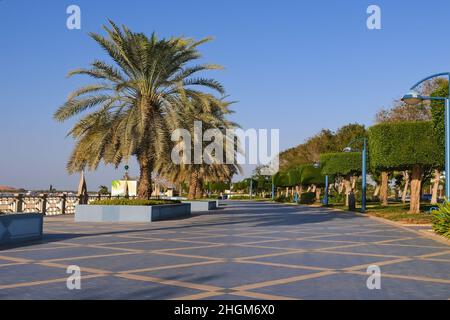 Promenade walking area by seaside with palm trees and topiary shrubs. Famous worldwide Corniche road in Abu Dhabi, UAE Stock Photo