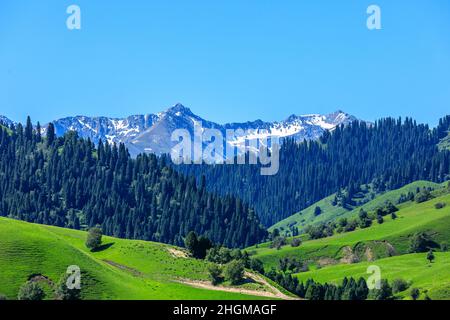 Nalati grassland with snow mountain scenery in Xinjiang,China. Stock Photo