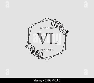 Initial vl feminine logo usable for nature salon Vector Image
