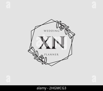 XN feminine logo. Usable for Nature, Salon, Spa, Cosmetic and Beauty Logos. Flat Vector Logo Design Template Element. Stock Vector