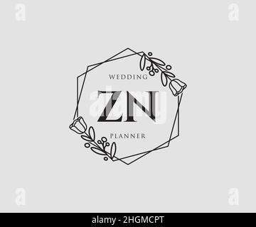 ZN feminine logo. Usable for Nature, Salon, Spa, Cosmetic and Beauty Logos. Flat Vector Logo Design Template Element. Stock Vector