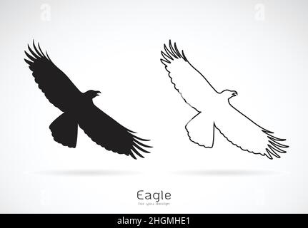 Vector of the eagle is spreading its wings. on white background, Wild Animals. Bird. Stock Vector