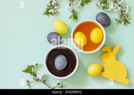 Natural dye for easter eggs - carcade and turmeric. Homemade colored easter eggs on a light green background. Top view flat lay. Stock Photo