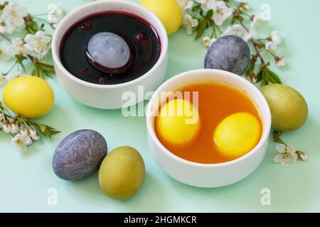 Natural dye for easter eggs - carcade and turmeric. Homemade colored easter eggs on a light green background. Stock Photo